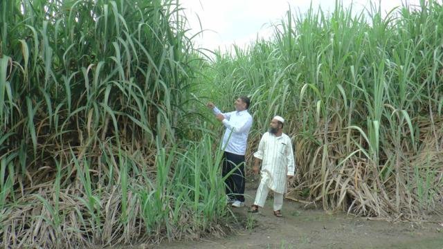 શેરડીના ખેતરમાં ખેડૂતો સાથે મુલાકાત | Gujarat Bio Organics